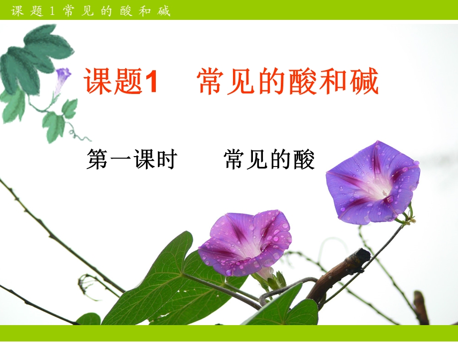 常见的酸和碱(第一课时)课件.ppt_第1页