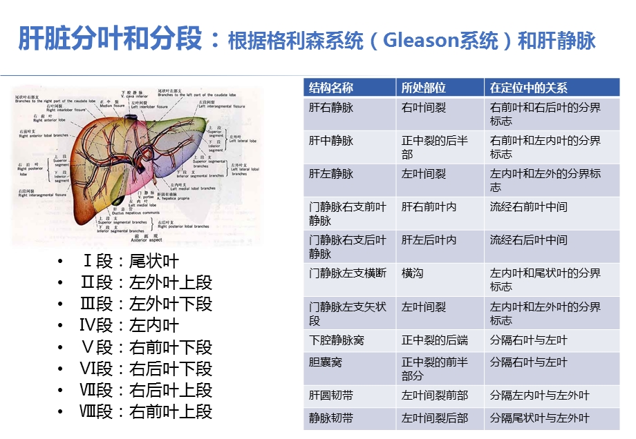 肝脏疾病的超声诊断课件.pptx_第3页