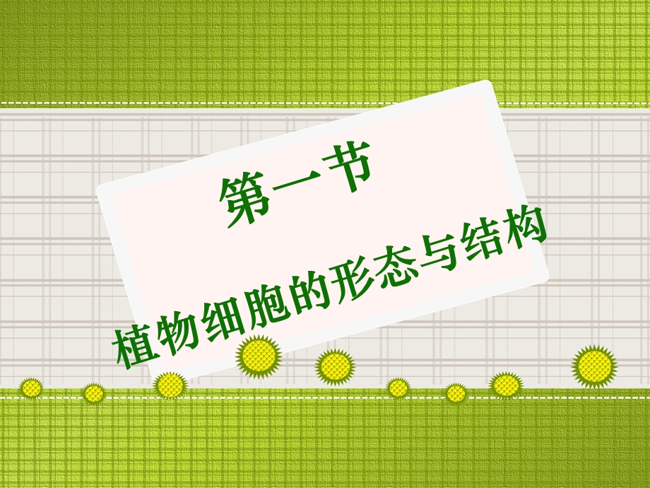 植物细胞的形态与结构课件.ppt_第1页