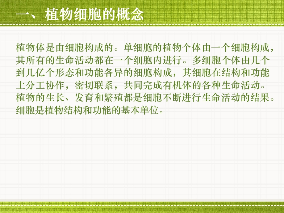 植物细胞的形态与结构课件.ppt_第2页