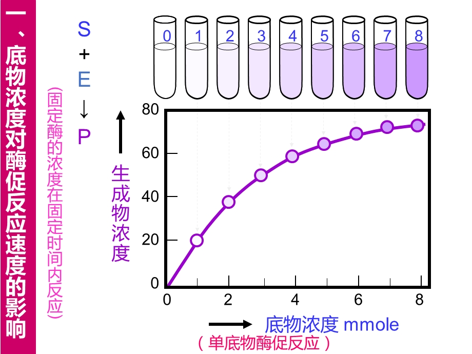 酶促反应动力学课件.ppt_第2页