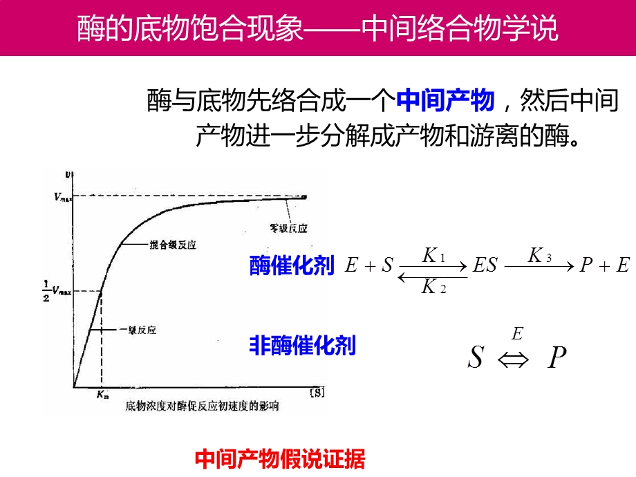 酶促反应动力学课件.ppt_第3页