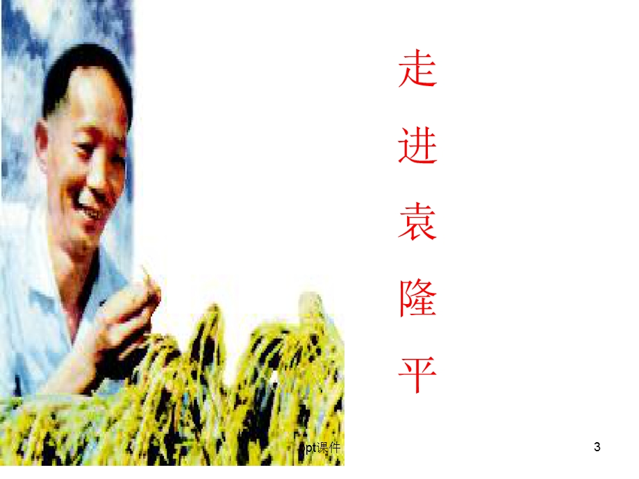 新教材《喜看稻菽千重浪》课件.ppt_第3页