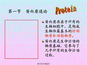 蛋白质组成成分和氨基酸课件.pptx