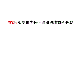 根尖分生组织细胞有丝分裂实验课件.ppt