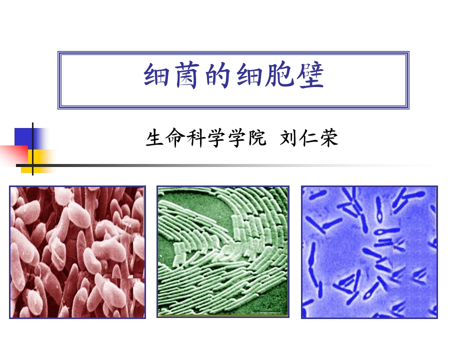 微生物的细胞壁结构课件.ppt_第1页