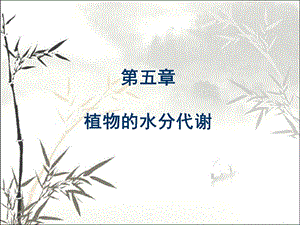 植物的水分代谢 课件.ppt