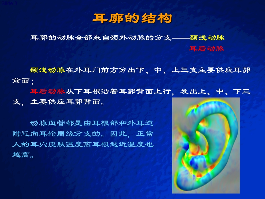 彩色耳穴实拍图 耳穴快速记忆法定位法及各种操作方法课件.ppt_第3页