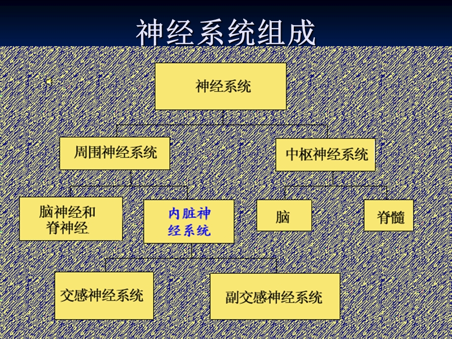 特发性面神经麻痹ppt课件.ppt_第3页