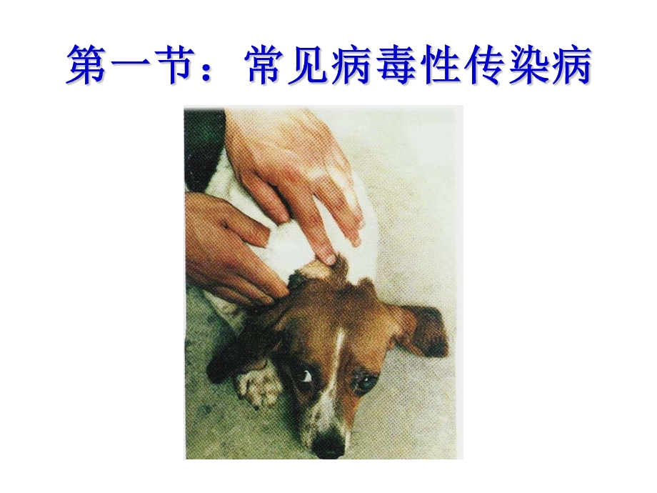 犬传染性肝炎课件.ppt_第3页