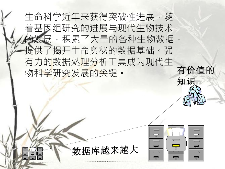 数据挖掘及其生物学应用课件.ppt_第3页