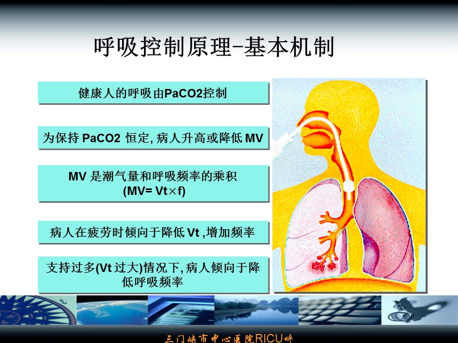 机械通气参数设置与调节讲课课件.ppt_第3页