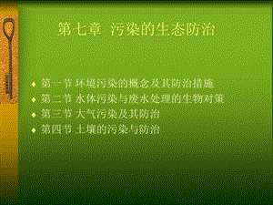 环境污染的生态防治环境生态学课件.ppt