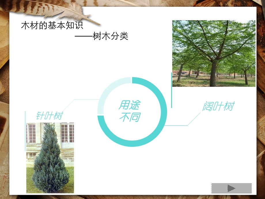 木材的简介课件.ppt_第3页