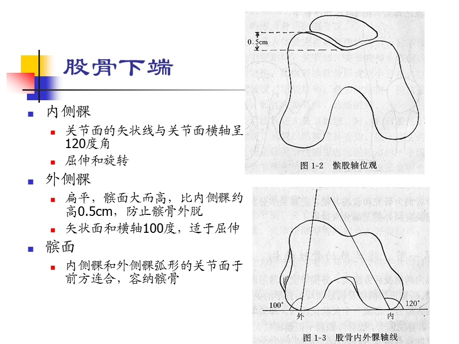 髌骨软化症的诊断与治疗课件.ppt_第3页