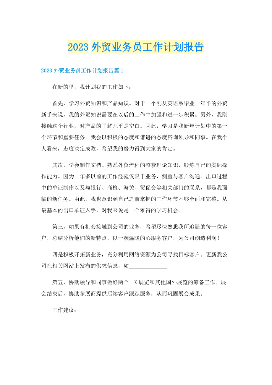 2023外贸业务员工作计划报告.doc_第1页