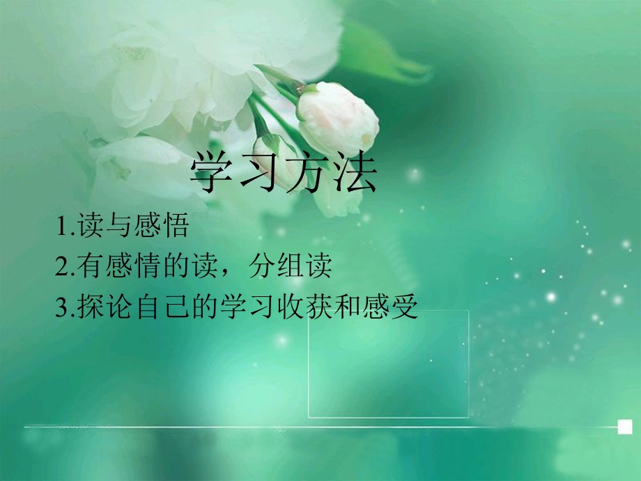 有的人课件讲课.ppt_第3页