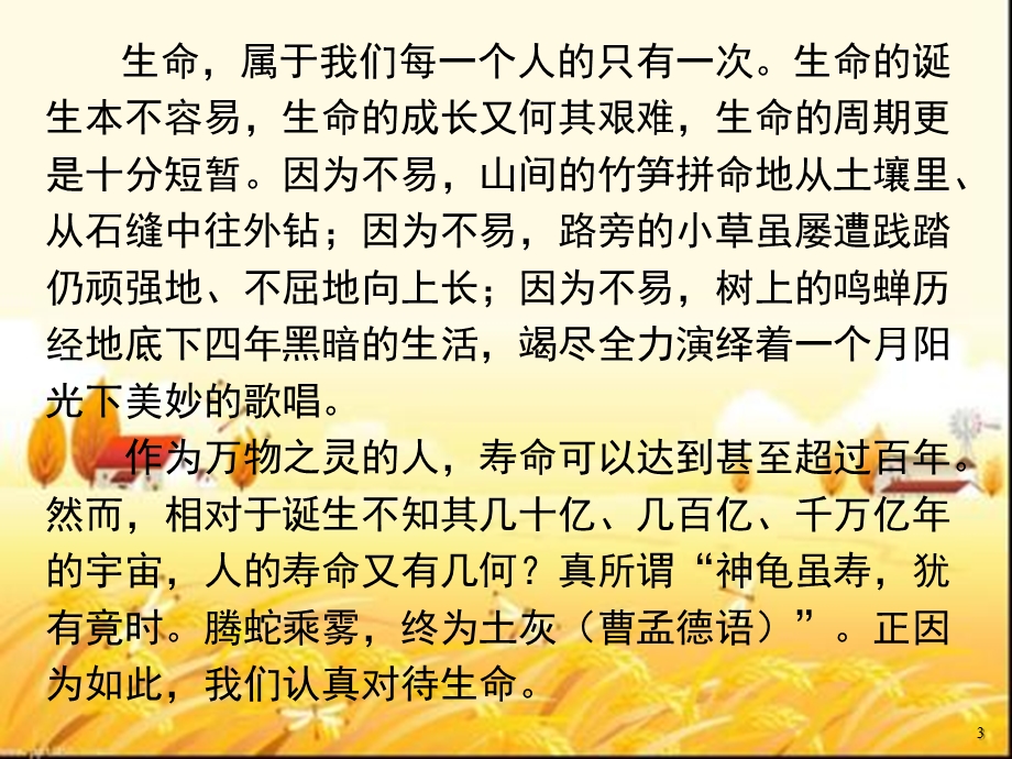 生命教育主题班会课件.pptx_第3页