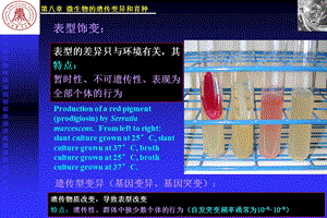 微生物的遗传变异和育种课件.ppt