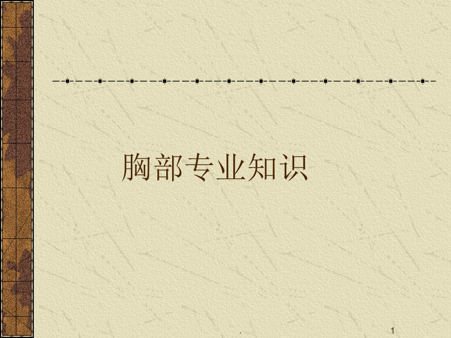 胸部专业知识培训ppt课件(会议).ppt_第1页