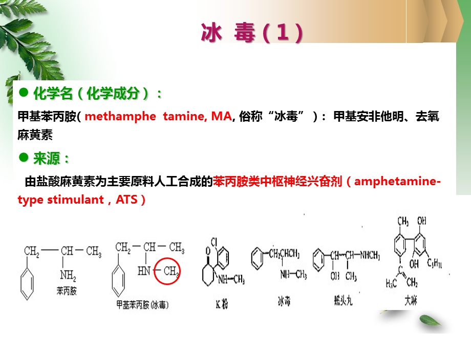 护理查房 改教案指南课件.ppt_第3页