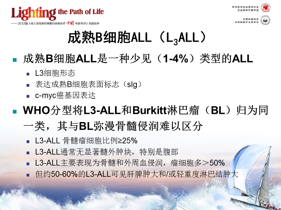 成熟B细胞ALL的诊断和治疗课件.ppt_第3页