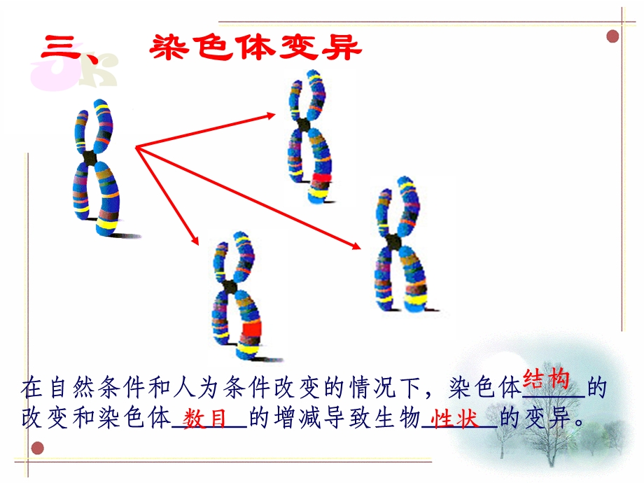 染色体变异课件.ppt_第1页