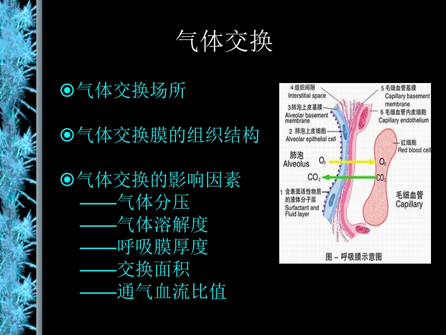 机械通气在急诊的应用课件.ppt_第3页