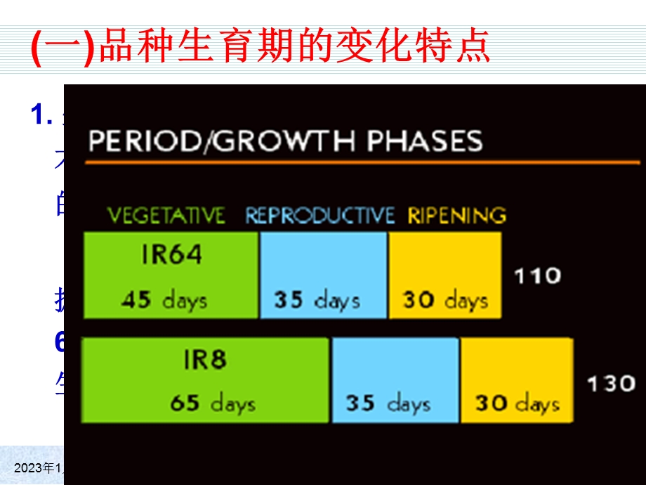 水稻栽培学ppt课件.ppt_第1页