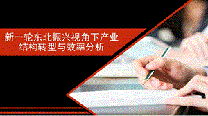 新一轮东北振兴视角下产业结构转型与效率分析课件.pptx