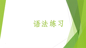 语法练习课件.ppt