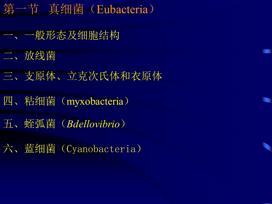 微生物ppt课件第3章.ppt_第3页