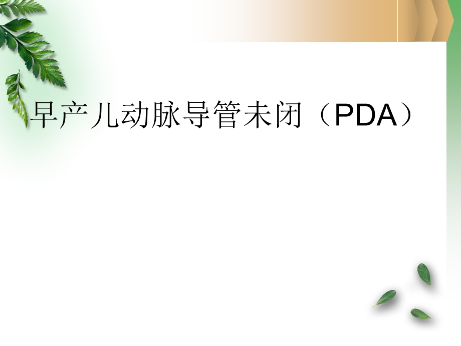 早产儿PDA的护理课件.ppt_第1页