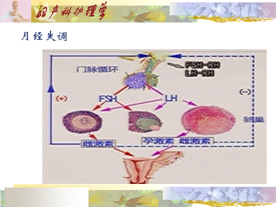 月经失调课件.ppt_第3页