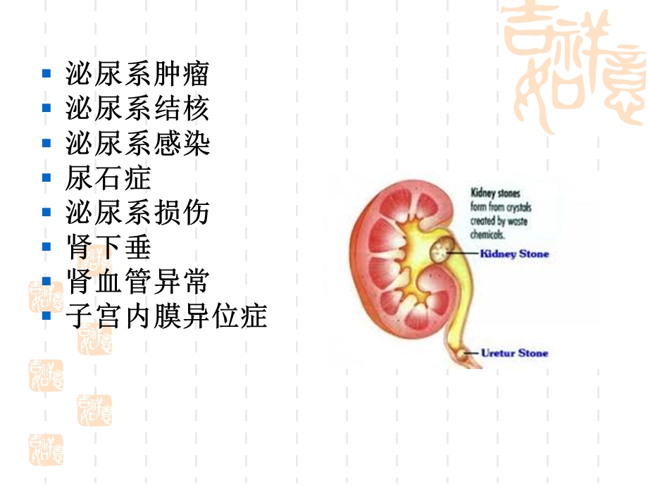 血尿的鉴别诊疗课件.ppt_第3页