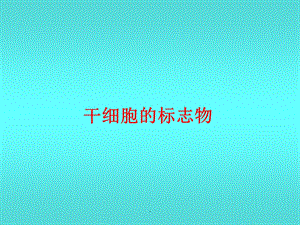 干细胞标记物课件.ppt