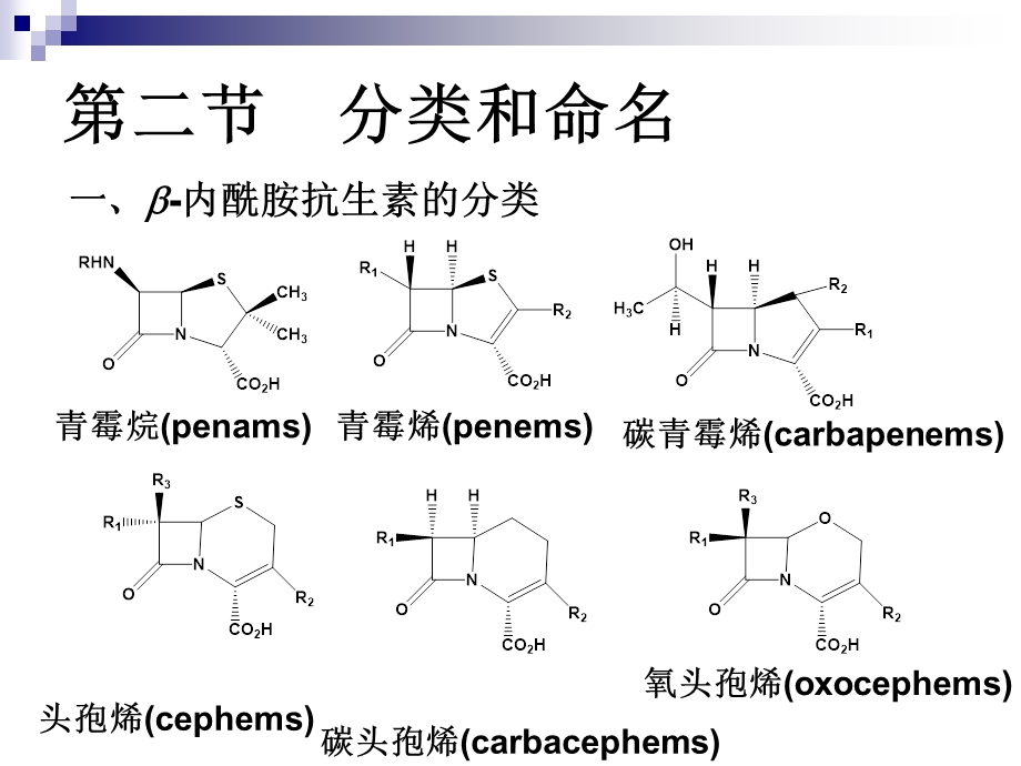 微生物制药内酰胺类抗生素课件.ppt_第3页