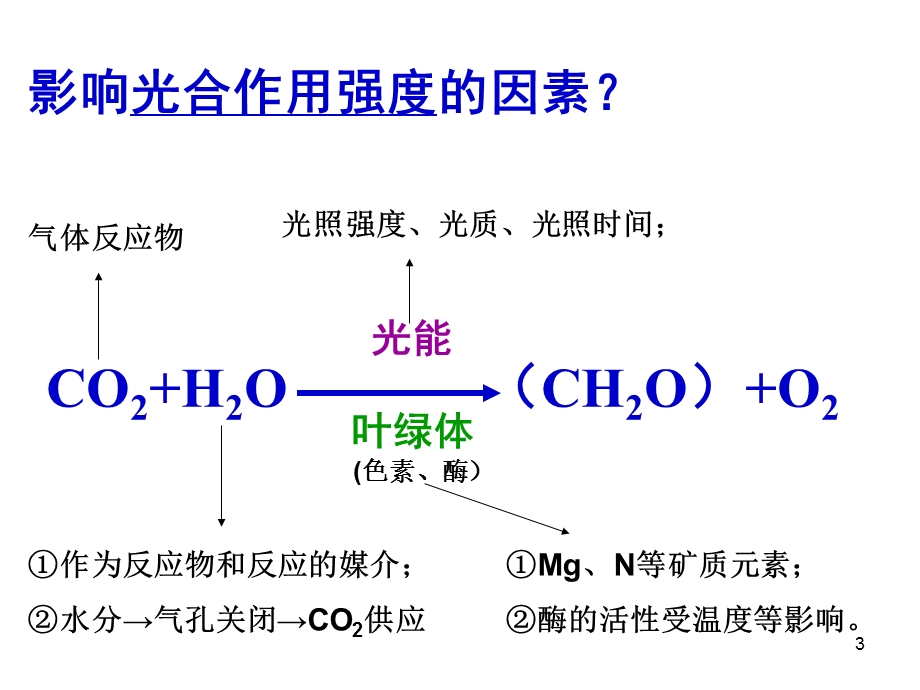 影响光合作用的因素及应用课件.ppt_第3页