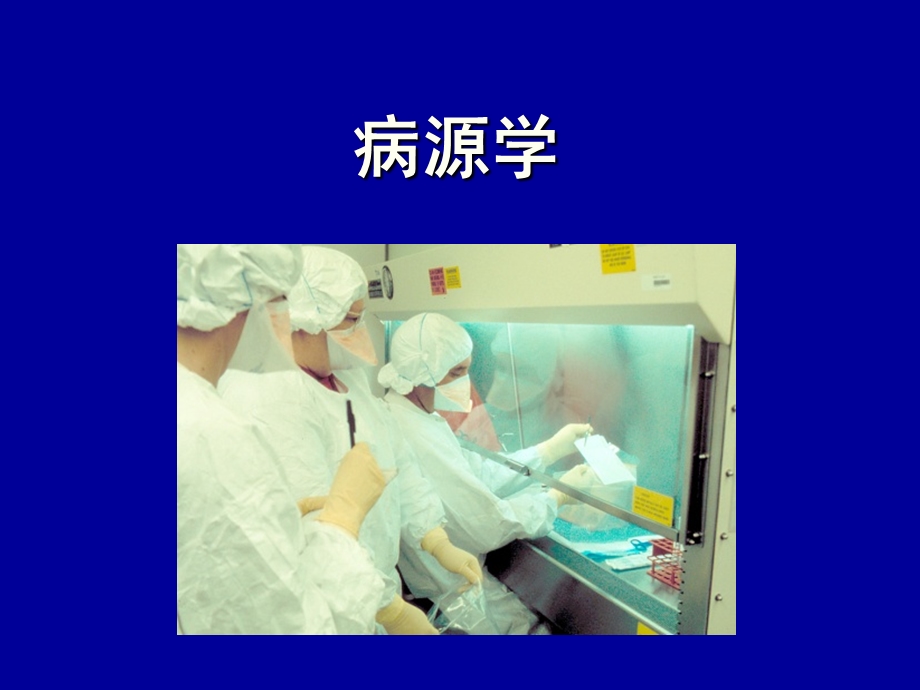 布鲁氏菌病课件.ppt_第3页