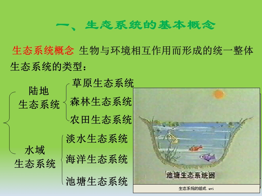 生态水利 ppt课件.ppt_第3页