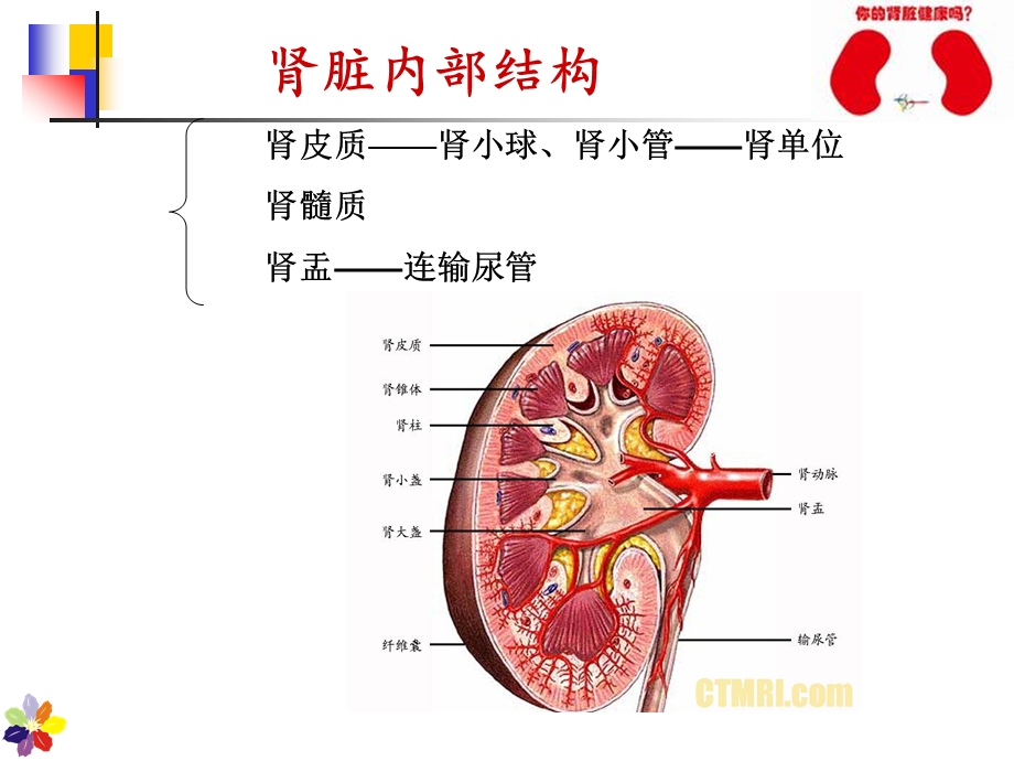 慢性肾衰竭的护理分析课件.ppt_第3页