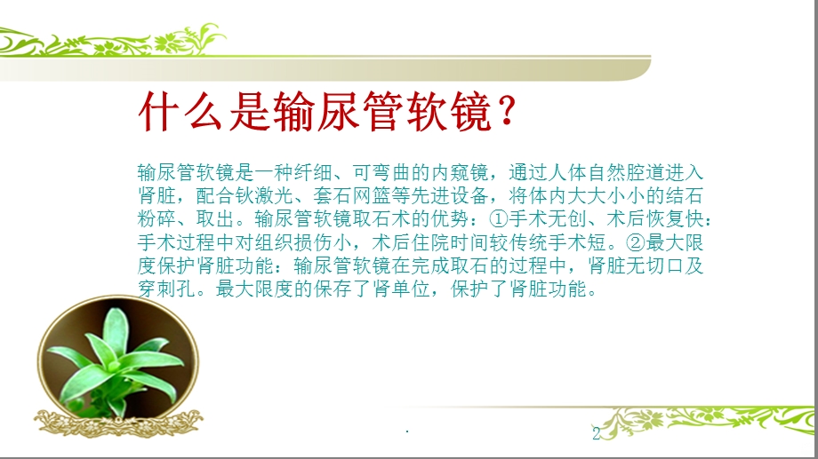 输尿管软镜健康宣教课件.ppt_第2页