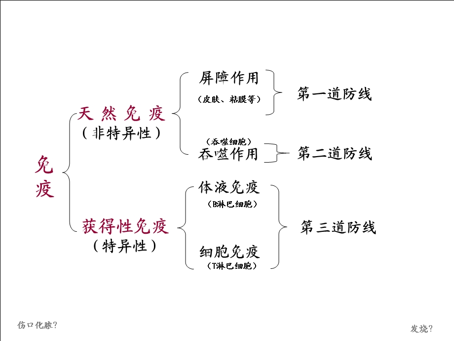 模块三 （第三章 中老年食品保健）课件.ppt_第2页