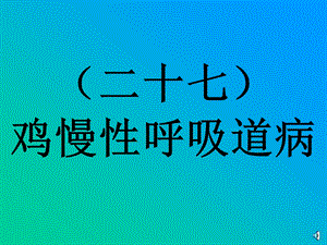 慢性呼吸道病的防治课件.ppt