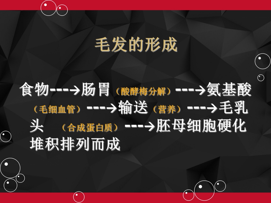 毛发生理学课件.ppt_第3页