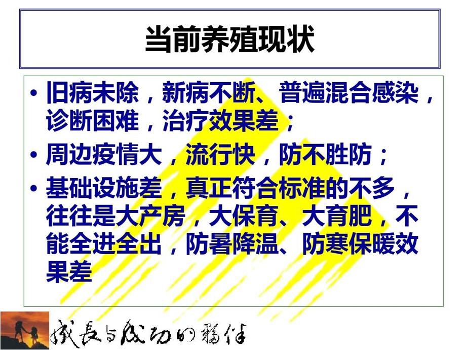 规模化猪场建议保健方案课件.ppt_第3页