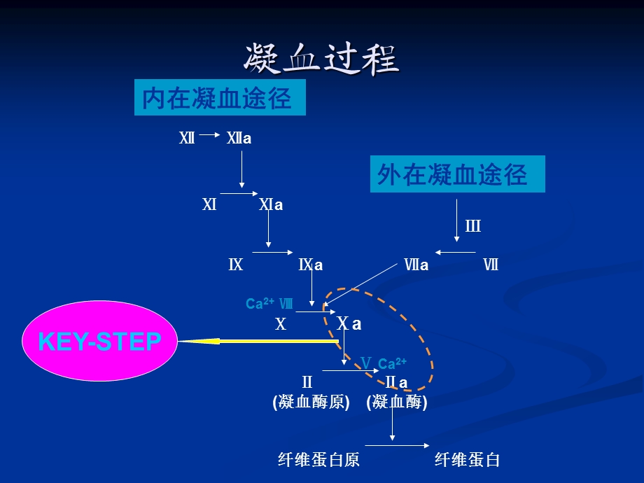 接受抗凝药物治疗的普外科病人围手术期处理课件.ppt_第2页