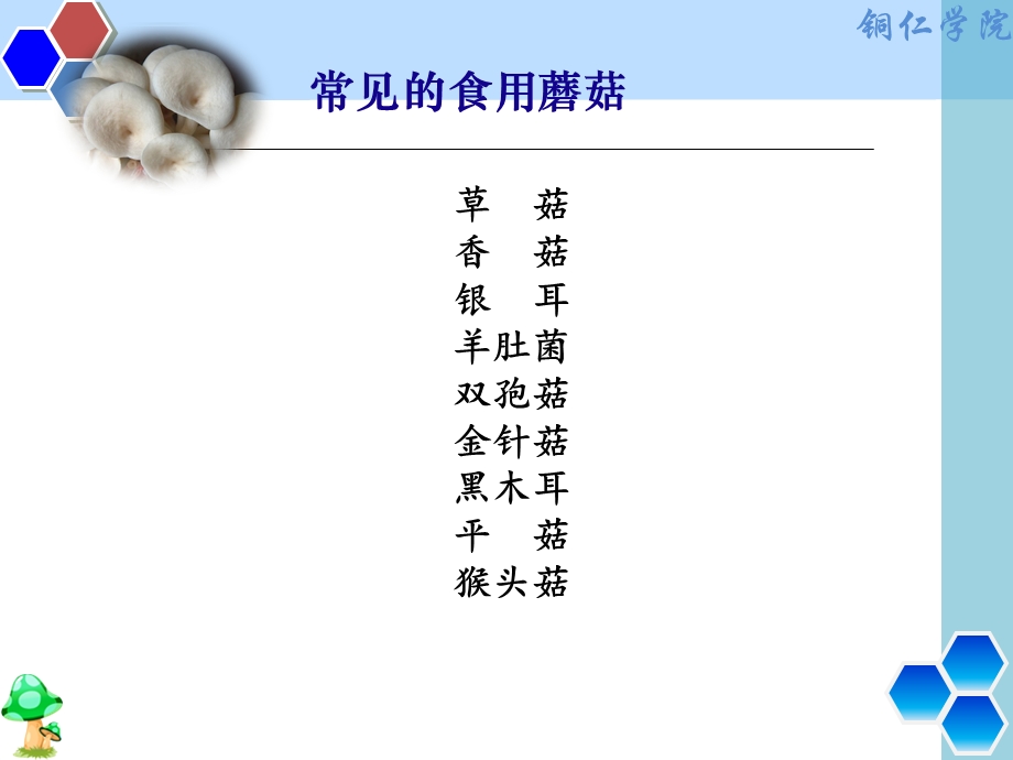 猴头菇栽培总结（全）课件.ppt_第2页