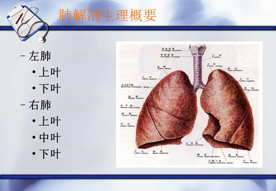 新肺癌查房护理(a)课件.ppt_第1页