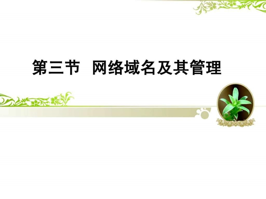 网络域名及其管理课件.ppt_第2页